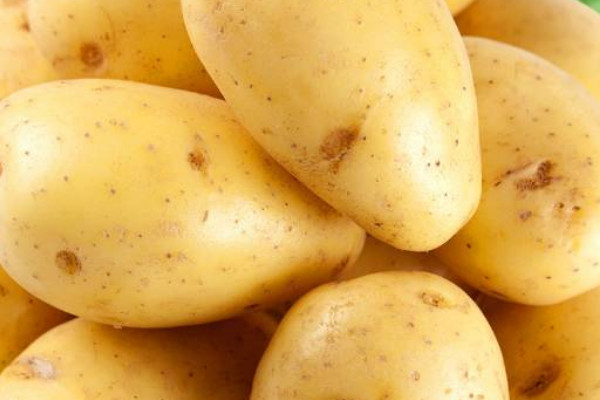 土豆怎麼播種方法