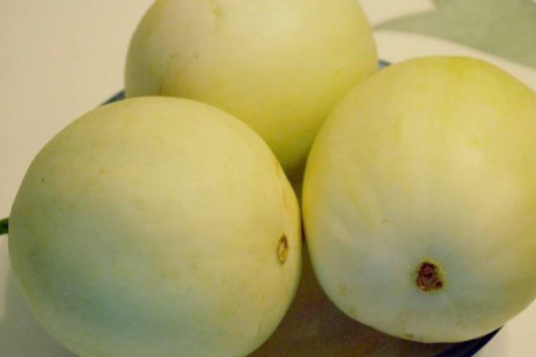 梨瓜怎麼種植產量高