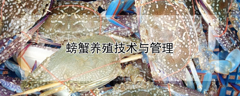 螃蟹養殖技術與管理