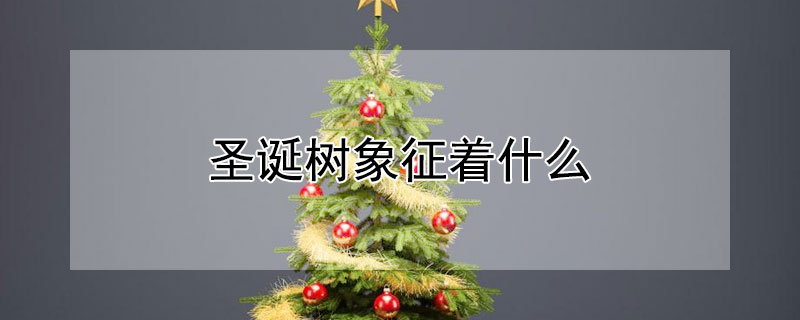 聖誕樹象征著什麼