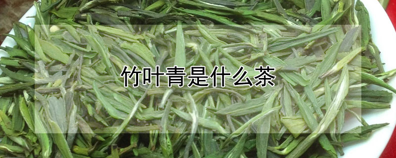 竹葉青是什麼茶