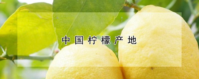 中國檸檬產地