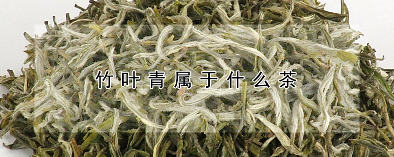 竹葉青屬於什麼茶