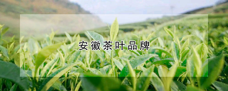 安徽茶葉品牌