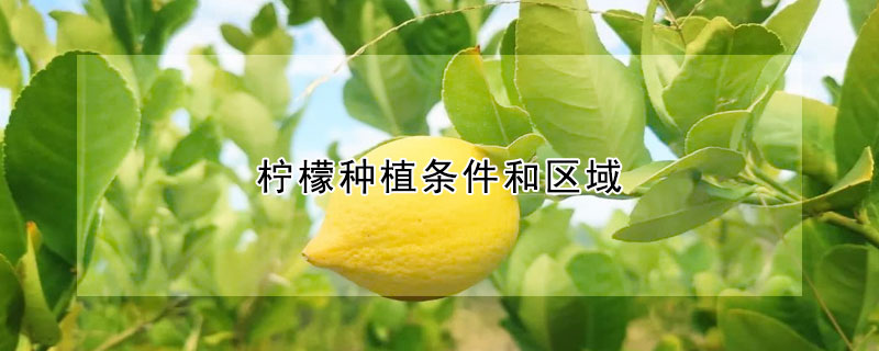 檸檬種植條件和區域