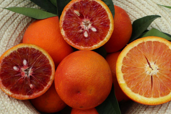 目前最高端的柑桔品種 目前最好的柑橘品種