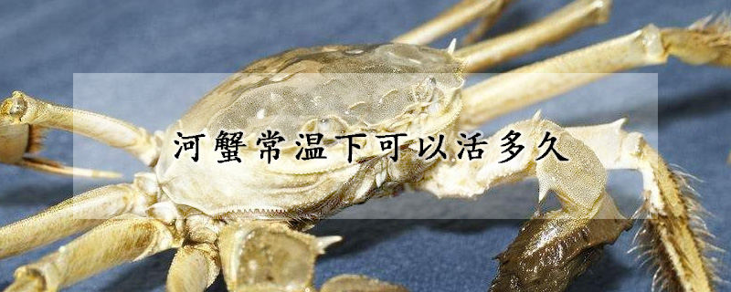 河蟹常溫下可以活多久