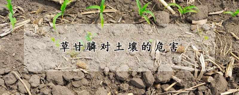 草甘膦對土壤的危害