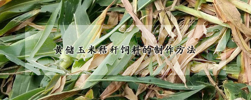 黃儲玉米秸稈飼料的製作方法