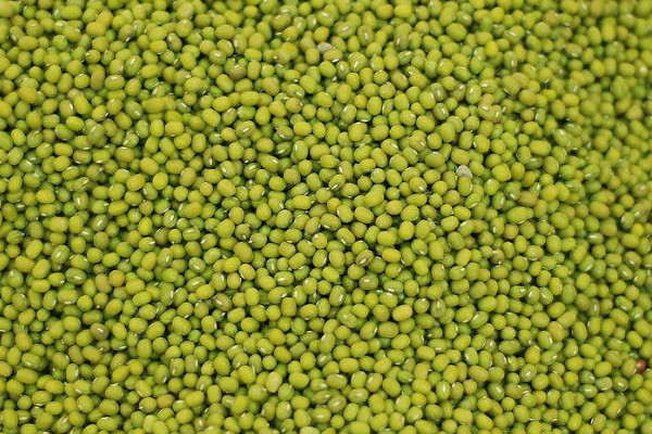 2019年綠豆價格 2019年綠豆價格6-13元一公斤