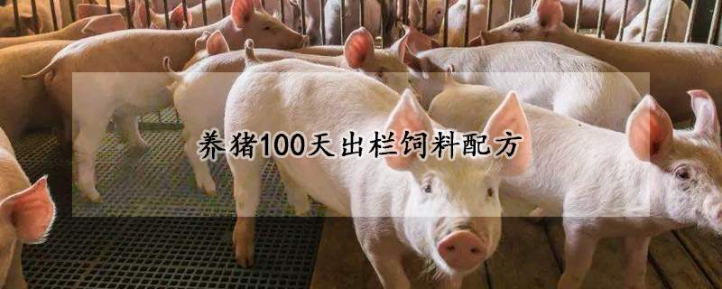 養豬100天出欄飼料配方