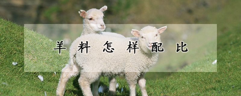 羊料怎樣配比