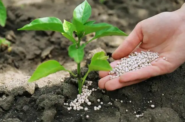 化學肥料與有機肥料 兩者有什麼區別