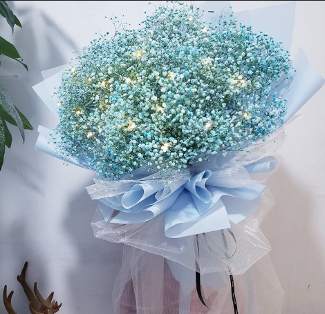滿天星有幾種顏色?它們各自的花語什麼?
