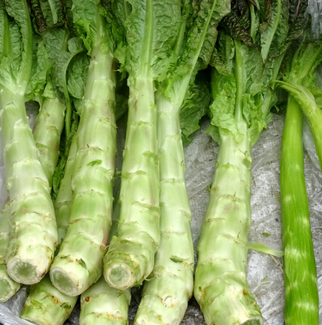 這十種適合在秋天種的蔬菜,你認識幾種?