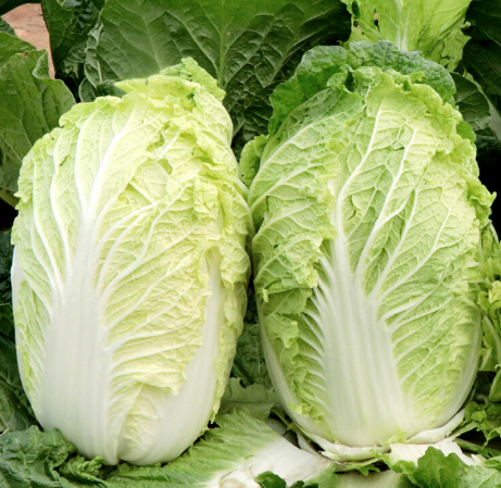這十種適合在秋天種的蔬菜,你認識幾種?