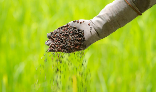 氮肥、磷肥、鉀肥的作用是什麼