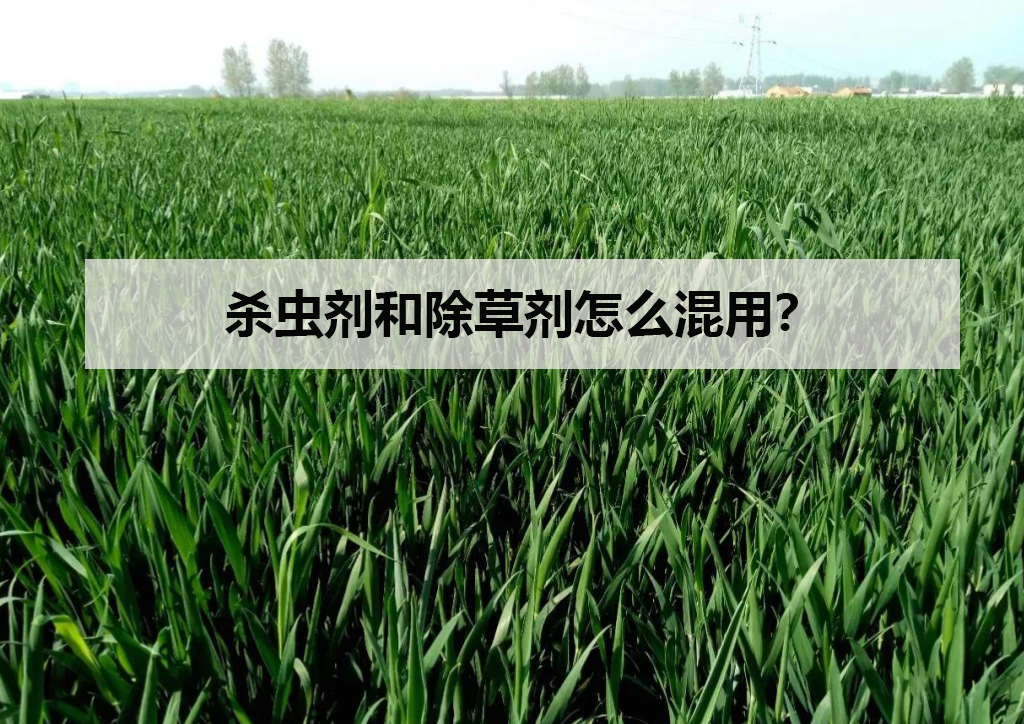殺蟲劑和除草劑怎麼混用?