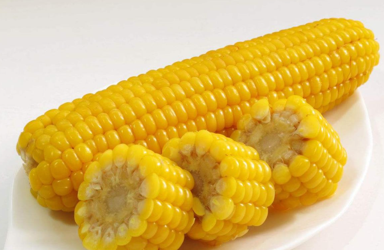 聯創825玉米的品種介紹