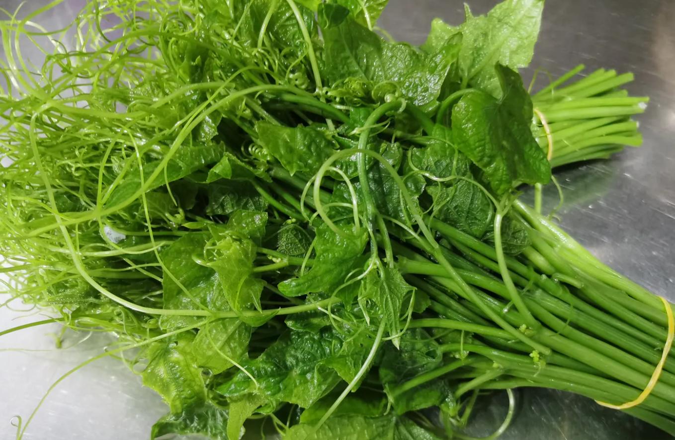 龍須菜是什麼樣子的?