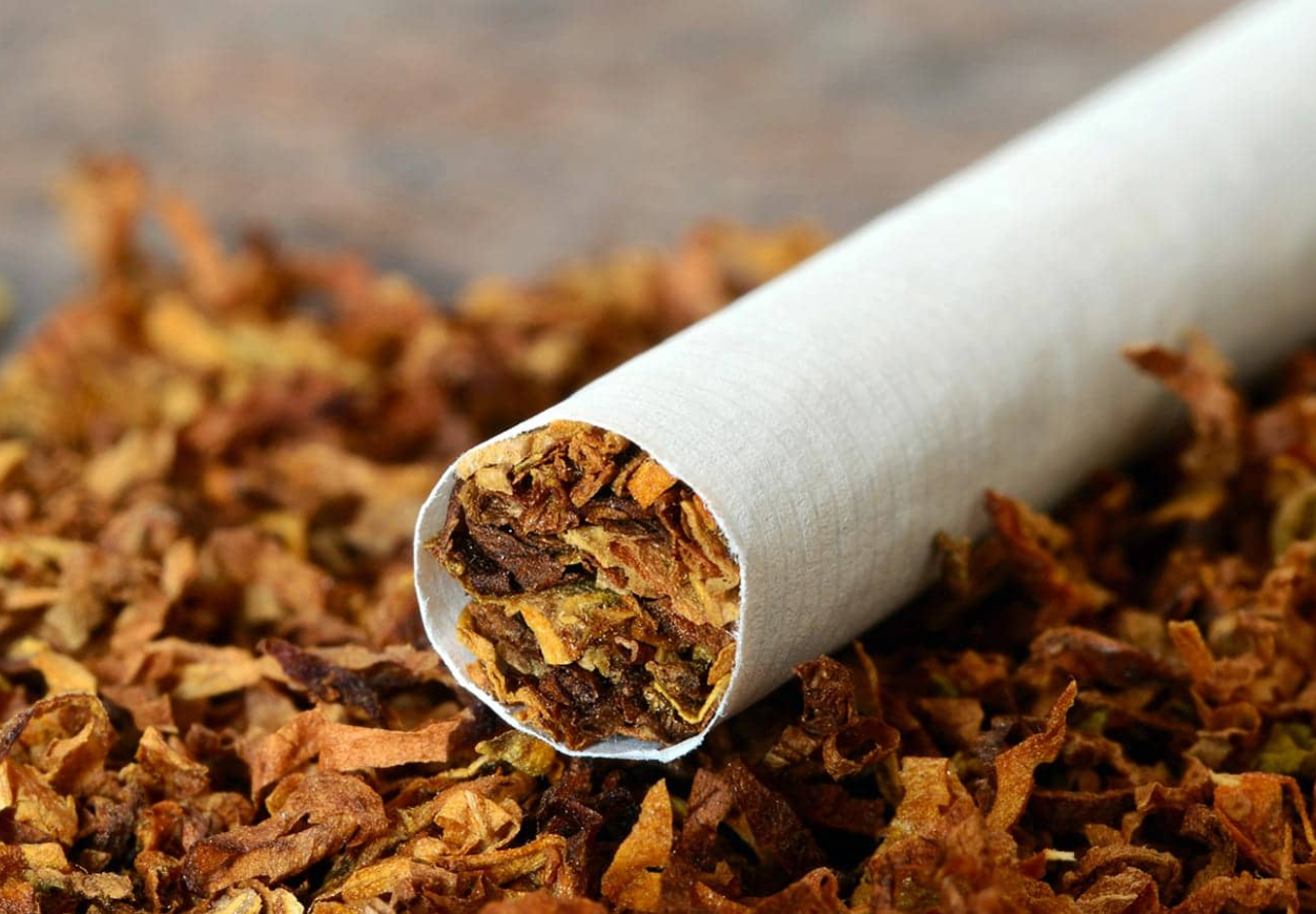 煙草有哪些特點?目前我國的煙草種植情況介紹