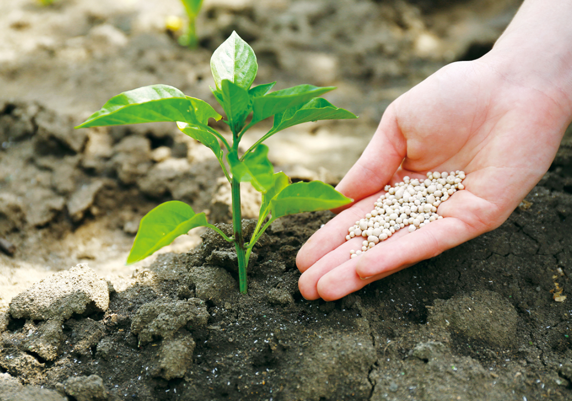 免耕肥用法用量和注意事項有哪些？