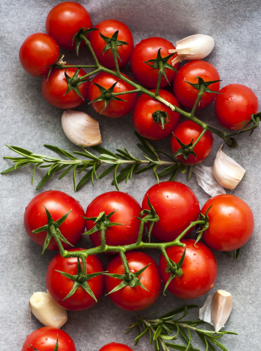 番茄巧補鈣肥促增產