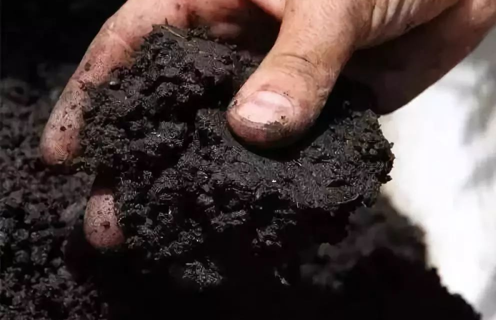 什麼是土壤肥力?