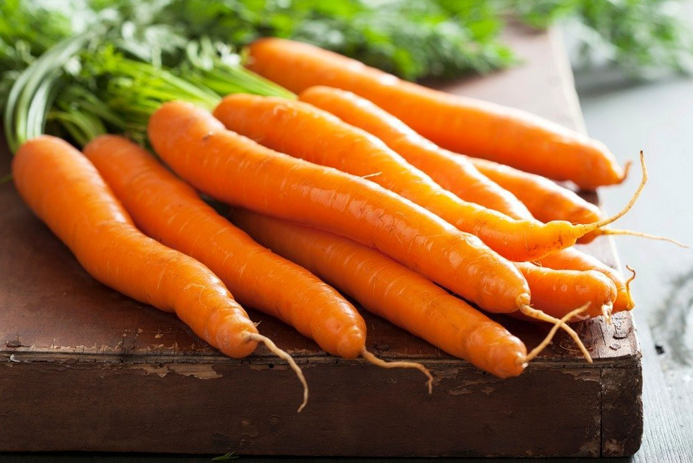 胡蘿卜常見品種有哪些？有哪些區別？