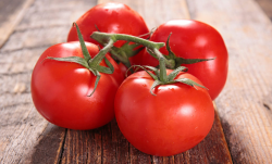 <strong>番茄的別稱和經濟價值有哪些？</strong>
