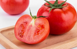 <strong>番茄果實的生理病害和控製方法介紹</strong>