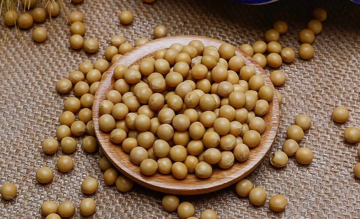 大豆成熟的收獲標準有哪些？