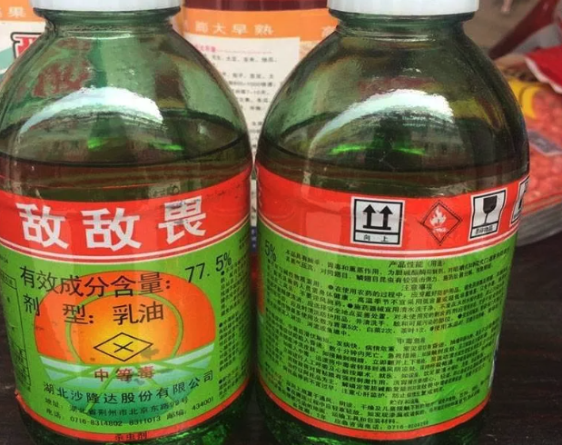 敵敵畏能否室內使用?消滅蟑螂,蒼蠅,蚊子等害蟲?