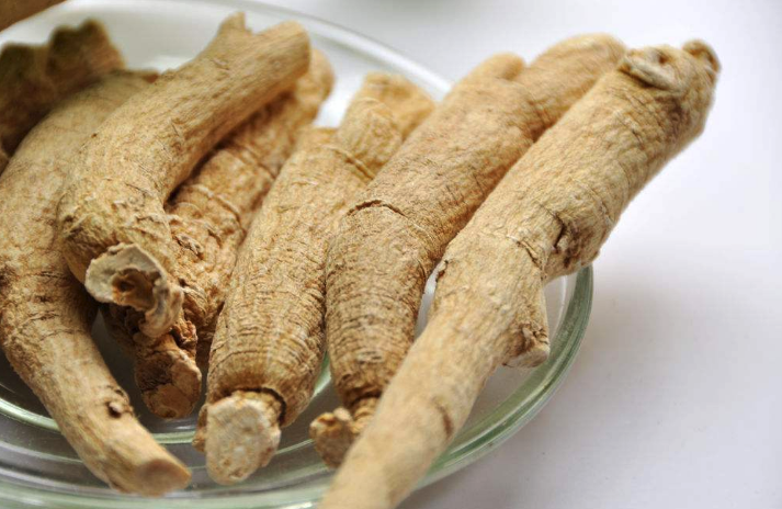 梅花參分布在什麼地方,有哪些特色?