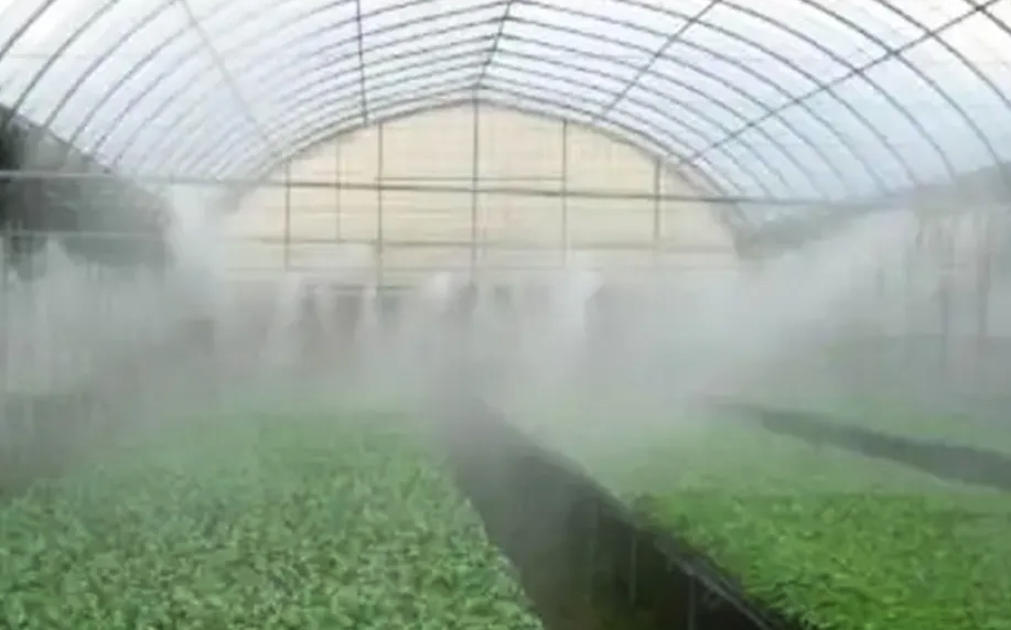 大棚的噴霧增濕和排風除濕有哪些區別,有什麼作用?
