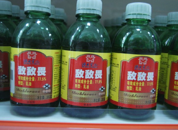 敵敵畏可以消滅金龜子嗎,有哪些注意事項?