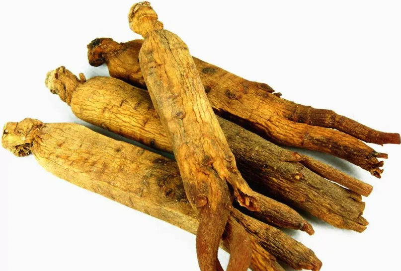 高麗參和人參有哪些區別,有哪些營養價值?