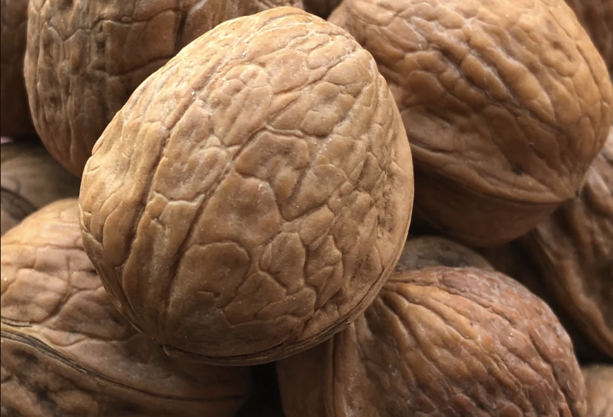 核桃的常見品種和特點介紹?