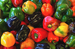 <b>彩色甜椒的常見品種有哪些，有什麼特點？</b>