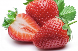 <b>幸香草莓有哪些經濟價值和營養價值？</b>