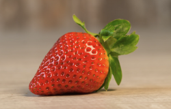 <b>章姬草莓有哪些營養價值，生長周期多久？</b>
