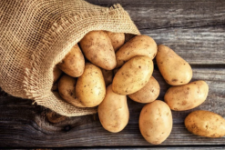 <strong>土豆出芽有哪些毒素，可以用來喂鴨嗎？</strong>