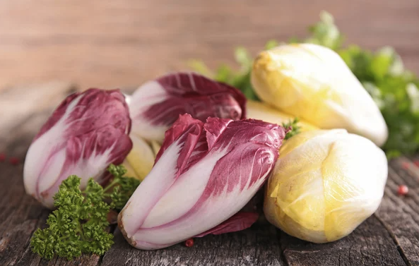 玉蘭菜怎麼進行種子培養和催芽?