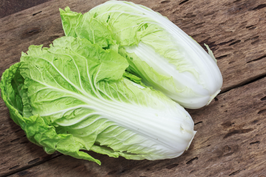 濃度生長素可以促進大白菜幼苗生根嗎？