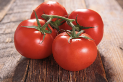 <b>番茄通過胚狀體進行植株再生是什麼過程？</b>