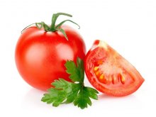 <strong>番茄幼苗種子發黃是什麼原因</strong>