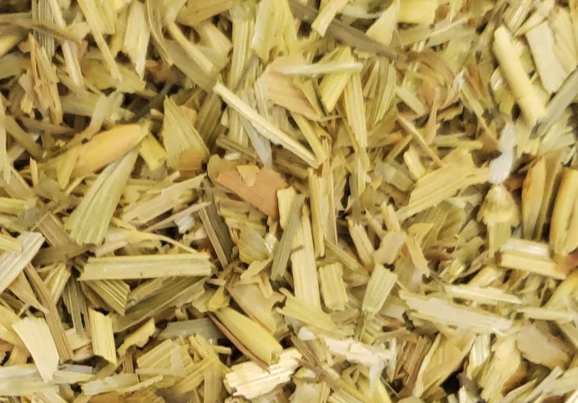 黑穗病怎麼進行防治?