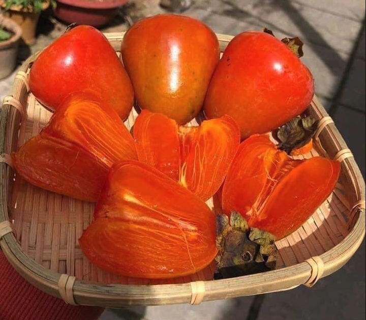 富有柿的口感和風味?