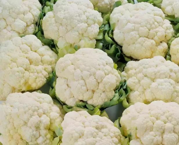 菜花怎麼篩蟲子?