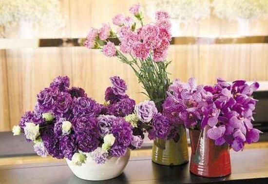 康乃馨怎麼養，康乃馨的養殖方法和注意事項